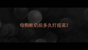 母狗断奶后多久打疫苗