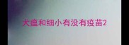 犬瘟和细小有没有疫苗
