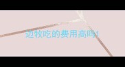 边牧吃的费用高吗
