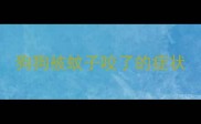 狗狗被蚊子咬了的症状