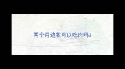 两个月边牧可以吃肉吗