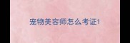 宠物美容师怎么考证