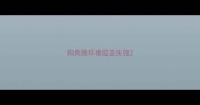 狗狗换环境疫苗失效