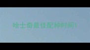 哈士奇最佳配种时间