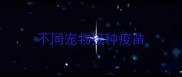 不同宠物接种疫苗