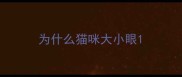 为什么猫咪大小眼