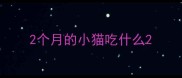 2个月的小猫吃什么