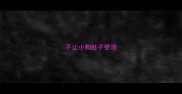 不让小狗肚子受凉