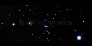 猫咪肛门总有残留的屎