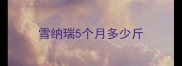 雪纳瑞5个月多少斤