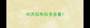 40天拉布拉多多重