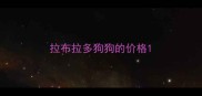 拉布拉多狗狗的价格