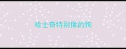 哈士奇特别像的狗