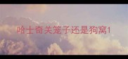 哈士奇关笼子还是狗窝