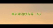 喜乐蒂边牧各养一只