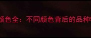拉布拉多犬眼睛颜色全不同颜色背后的品种特征与养护指南