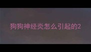 狗狗神经炎怎么引起的
