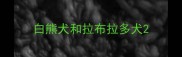 白熊犬和拉布拉多犬