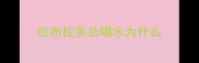 拉布拉多总喝水为什么