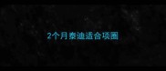 2个月泰迪适合项圈