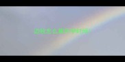 边牧怎么算怀孕时间