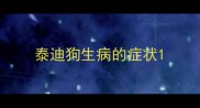 泰迪狗生病的症状