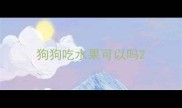 狗狗吃水果可以吗
