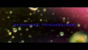 金毛犬幼犬训练指南不同月龄训练要点与黄金期