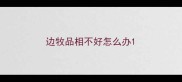 边牧品相不好怎么办