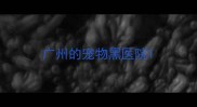 广州的宠物黑医院
