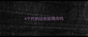4个月的边牧能喂肉吗