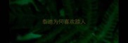 泰迪为何喜欢舔人