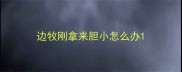 边牧刚拿来胆小怎么办