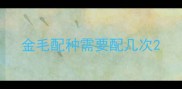 金毛配种需要配几次