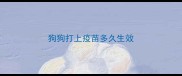 狗狗打上疫苗多久生效