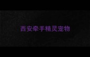 西安牵手精灵宠物