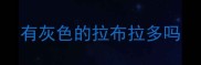 有灰色的拉布拉多吗