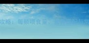 3个月泰迪幼犬喂养全攻略每顿喂食量营养搭配与常见误区附喂养表