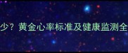 金毛犬正常心率是多少黄金心率标准及健康监测全攻略附测量方法