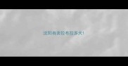 沈阳有卖拉布拉多犬