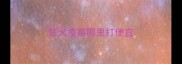 狂犬疫苗哪里打便宜