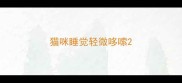 猫咪睡觉轻微哆嗦