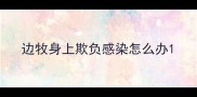 边牧身上欺负感染怎么办