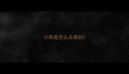 小狗是怎么走路的