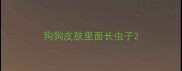 狗狗皮肤里面长虫子