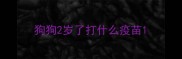 狗狗2岁了打什么疫苗