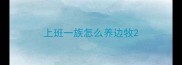 上班一族怎么养边牧