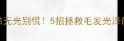 泰迪毛干枯无光别慌5招拯救毛发光泽的黄金法则
