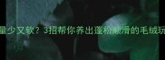 泰迪毛量少又软3招帮你养出蓬松顺滑的毛绒玩具