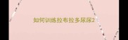 如何训练拉布拉多尿尿